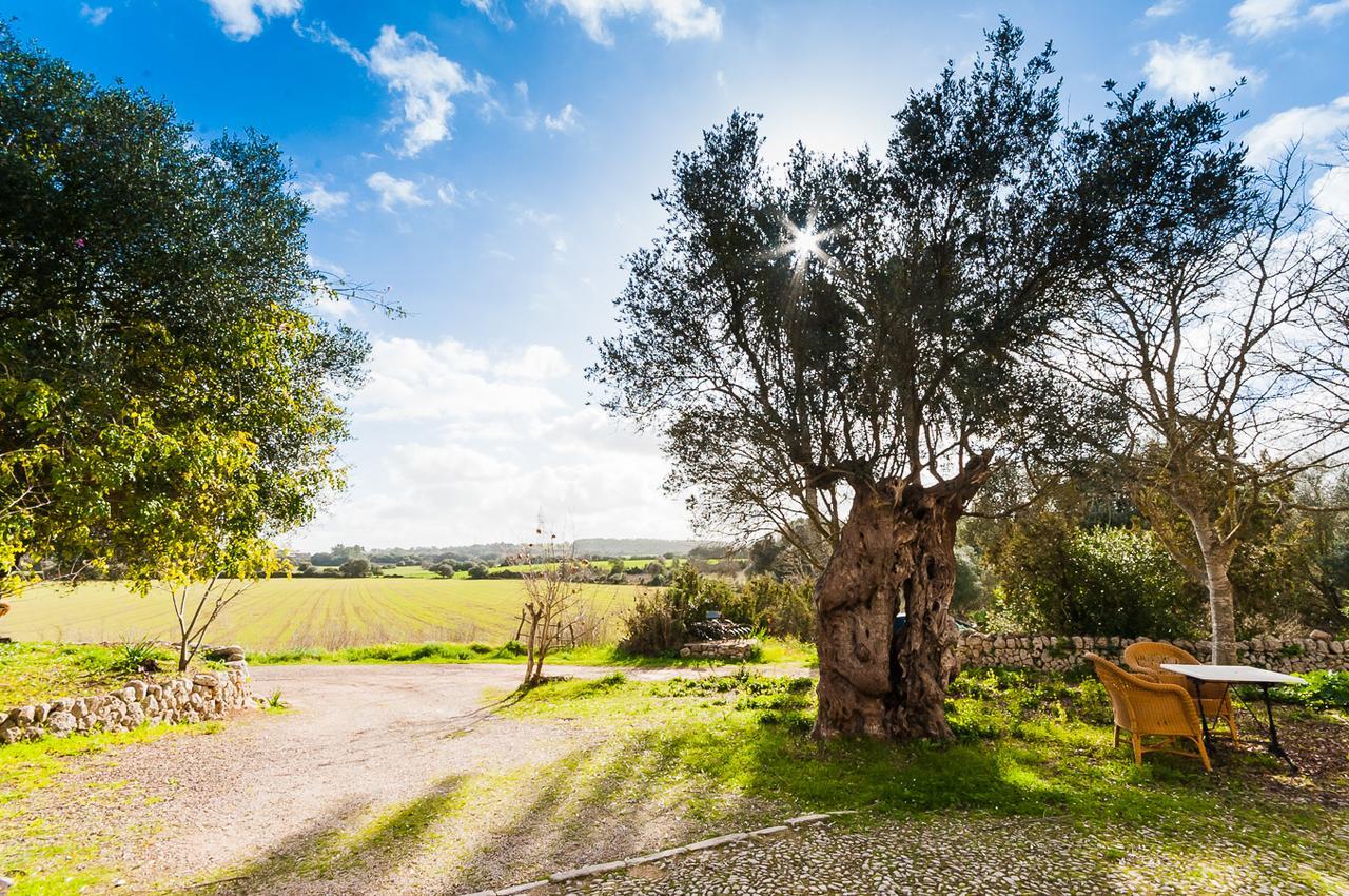 Sa Casa Rotja Villa Sineu  Buitenkant foto